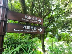 -铁山坪森林公园