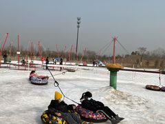 -绿野森林乐园冰雪季