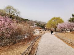 -北京西山国家森林公园