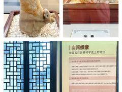 -徐霞客故居