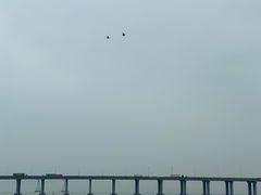 -宝安西湾红树林湿地公园