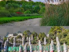 -贵州森林野生动物园