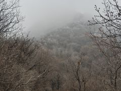 -阳台山自然风景区
