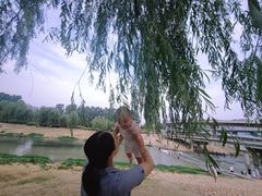 -西吴河科普公园