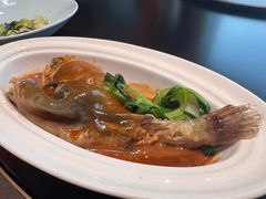 -新光酒家·河豚·海鲜·蟹料理(浦东店)