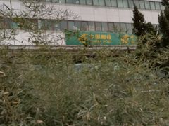 -北京国际邮局邮件处理中心