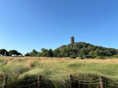-红花山公园