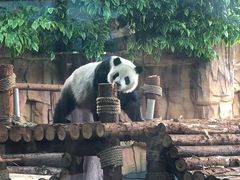 -泉州海丝野生动物世界