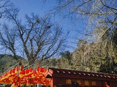 -潭柘寺景区