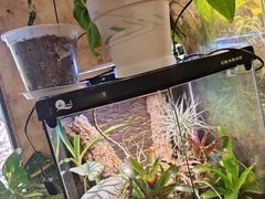 -Rabbit Cafe私房西餐甜点咖啡(栖霞路店)