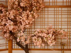 -汤泉良子.足疗按摩.SPA(中关村店)