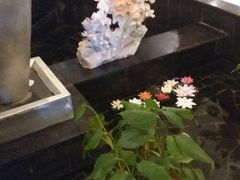 -绿杨春·淮扬宴(庐山路店)