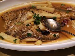 野生黄鱼鲜烧年糕-香浙汇(望京店)