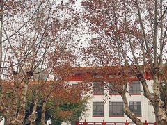 -四川大学博物馆