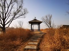 -野鸭湖国家湿地公园