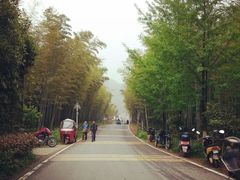 android_upload_pic-天目湖山水园