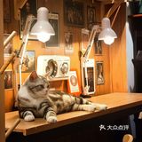 打卡宁静咖啡店