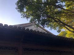 -秋霞圃