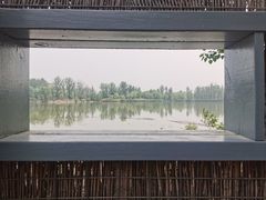 -翠湖国家城市湿地公园
