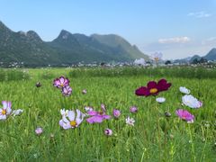 -万峰林风景区
