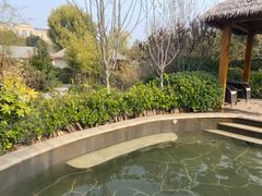 -郑州银基黄帝宫御温泉