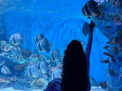 -海合安成都极地海洋公园