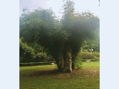-汉水公园