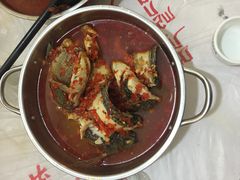 -风鑫铃罗非鱼(道沟店)