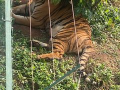 -海南热带野生动植物园