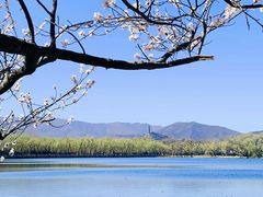-颐和园