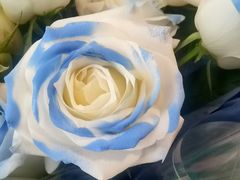 -BOBLOOM花店(宝龙旭辉广场店)