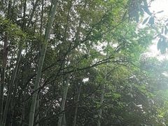 -故乡缘·香格里拉山庄(冷竹路店)