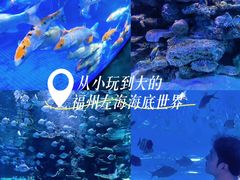 -左海海底世界