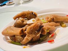 -金鼎轩(亚运村店)