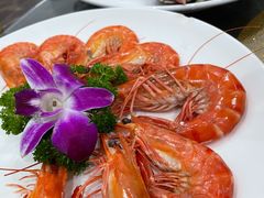 白灼九节虾-蚝专家(北滘店)
