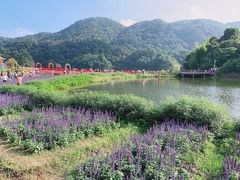 -广州市石门国家森林公园