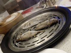 -青蓬蒸汽海鲜·深圳老字号·团建聚会(壹方城店)