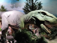 -国家自然博物馆