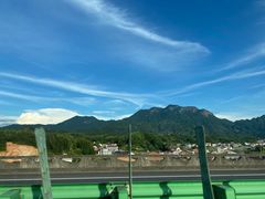 -熊猫不走蛋糕（同城送）(长沙店)