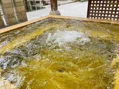 -春晖园度假酒店温泉