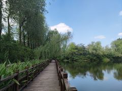 -溱湖国家湿地公园