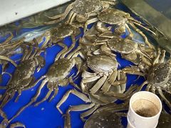 -阳澄湖大闸蟹·琼灵阁牌品牌连锁(吴中总店)