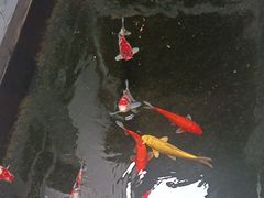 -鲤院·新中式美学·庭院餐厅(夫子庙店)