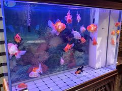 -破瓦寒窑·地摊烤羊排