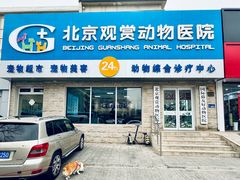 -北京观赏动物医院·24小时大型综合·猫专科·异宠专科