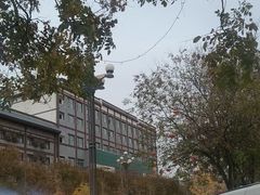 -一记洛阳菜·糖醋小排·水席(十字街店)