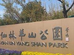 -羊山湖公园