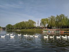 -西安汉城湖景区