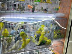 -三旗百汇商品城