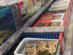 -骏莱海鲜鱼港(五角场店)